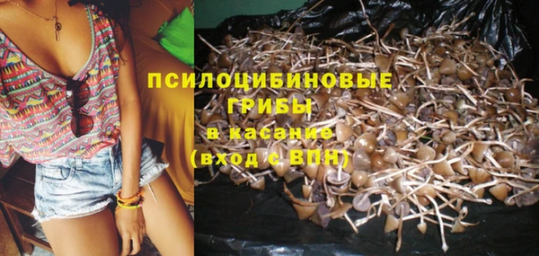 apvp Алексин