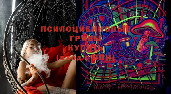 мяу мяу мука Алзамай