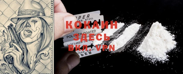 apvp Алексин